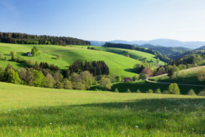Frühling im Glottertal, Schwarzwald, Baden-Württemberg, Deutschland Frühling im Glottertal, Schwarzwald, Baden-Württemberg, Deutschland